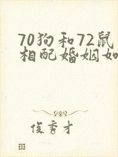 70狗和72鼠相配婚姻如何