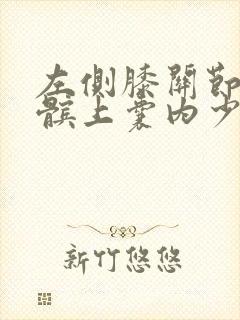 左侧膝关节腔及髌上囊内少量积液