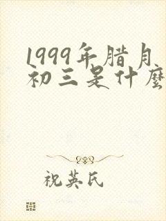 1999年腊月初三是什么命