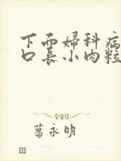 下面妇科病阴道口长小肉粒