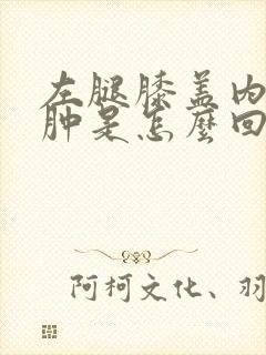 左腿膝盖内侧疼肿是怎么回事