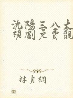 沈阳三八大案电视剧免费观看