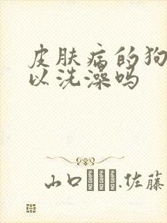 皮肤病的狗狗可以洗澡吗