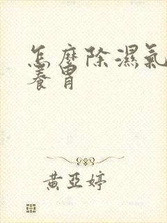 怎么除湿气健脾养胃