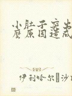 小肚子突出是什么原因造成的