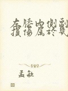 左膝内侧副韧带损伤属于几级伤残