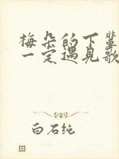 梅朵的下辈子不一定遇见歌曲封面