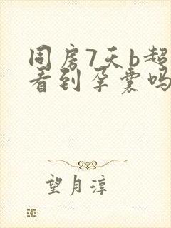 同房7天b超能看到孕囊吗封面