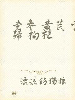 党参 黄芪 当归 枸杞