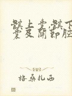 髌上囊,髌下深囊及关节腔积液是怎么引起的