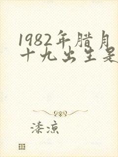 1982年腊月十九出生是什么命封面