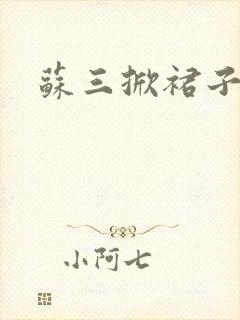 苏三掀裙子封面