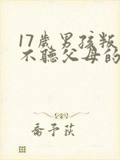17岁男孩叛逆不听父母的话怎么办