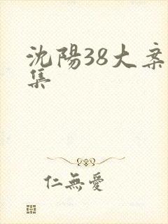 沈阳38大案全集封面