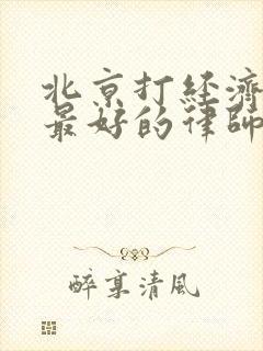 北京打经济官司最好的律师事务所封面