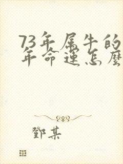 73年属牛的今年命运怎么样