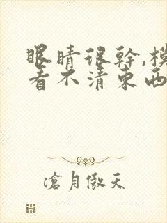 眼睛很干,模糊看不清东西怎么回事