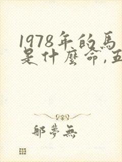 1978年的马是什么命,五行属性