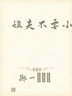 姐夫不要小说
