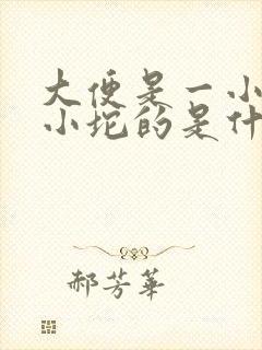 大便是一小坨一小坨的是什么原因