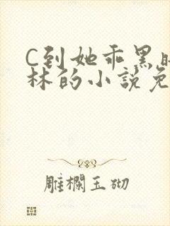 C到她乖黑暗森林的小说免费封面