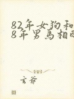 82年女狗和78年男马相配婚姻如何