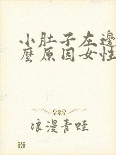 小肚子左边痛什么原因女性