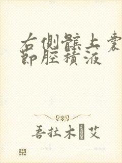 右侧髌上囊及关节腔积液封面