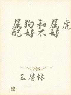 属狗和属虎的婚配好不好