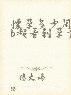 怀孕多少周可以b超看到孕囊