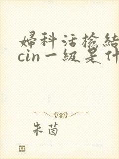 妇科活检结果是cin一级是什么意思