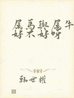 属马与属牛婚配好不好呀封面
