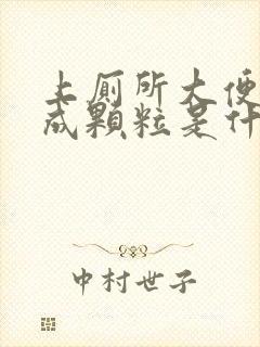 上厕所大便干燥成颗粒是什么原因