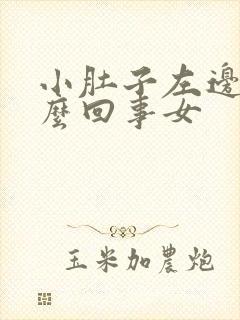 小肚子左边疼怎么回事女封面
