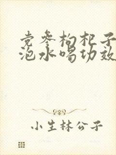党参枸杞子麦冬泡水喝功效