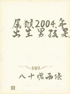 属猴2004年出生男孩是什么命