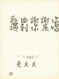 歌曲谢谢你让我遇到你原唱