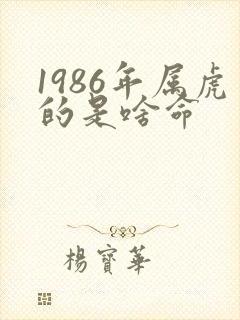 1986年属虎的是啥命