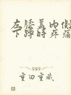 左膝盖内侧弯曲下蹲时疼痛