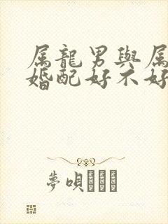 属龙男与属马女婚配好不好