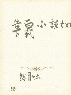 告白小说txt下载