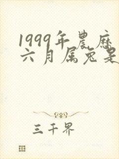 1999年农历六月属兔是什么命