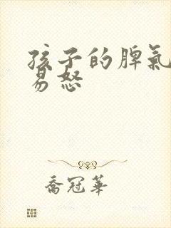 孩子的脾气暴躁易怒