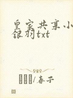 皇家共享小公主银羽txt封面