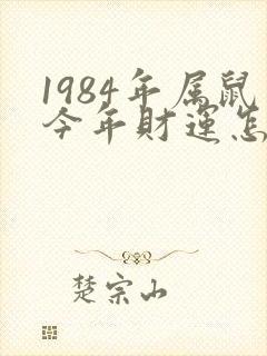 1984年属鼠今年财运怎么样