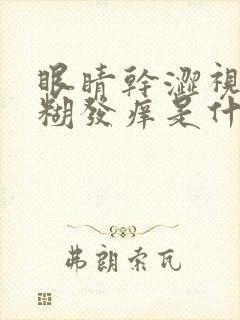 眼睛干涩视力模糊发痒是什么原因引起的