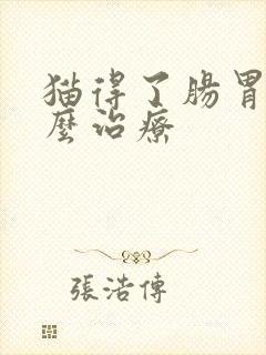 猫得了肠胃炎怎么治疗