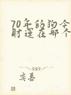 70年的狗今年财运在哪个方向
