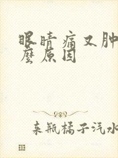 眼睛痛又肿了什么原因封面