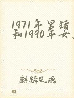 1971年男猪和1990年女马配吗